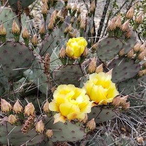 Meet your Posher, Juanita